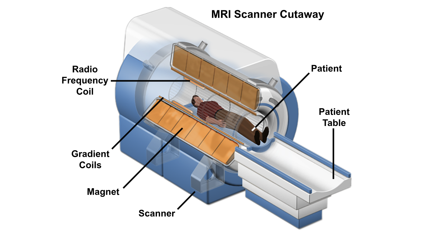 MRI Scanner Cutaway
